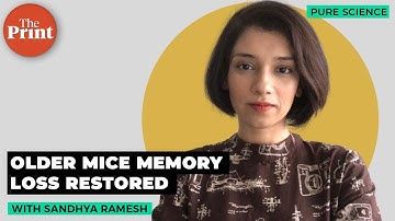 Young cerebrospinal fluid reverses memory loss in older mice