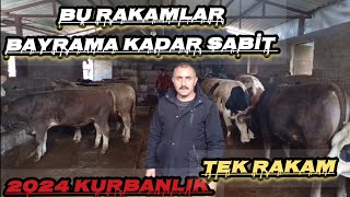 #2024 TOSUNLARDA TEK FİYAT BAYRAMA KADAR KARKAS VE KANTAR TEK RAKAM ERKEN GELEN KAZANIR #keşfet