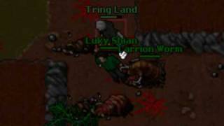 Kill Botter Tring Land