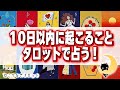 10日以内起こること🌞