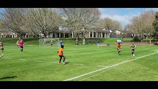 NUFCU13B vs Tauranga Weir Rose 2025