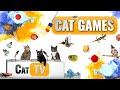 Jeux de chat  compilation ultime de cat tv vol 23  2 heures 