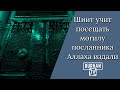 Шиит учит посещать могилу посланника Аллаха издали