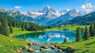 Relaxing Nature Sounds with Music 🌿 Peaceful Music For Mind Relaxation and Deep Sleep