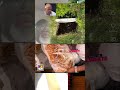 MOUN   'AU-DESSUS DE LA LOI' YO