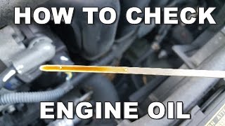 How To Check Engine Oil Properly