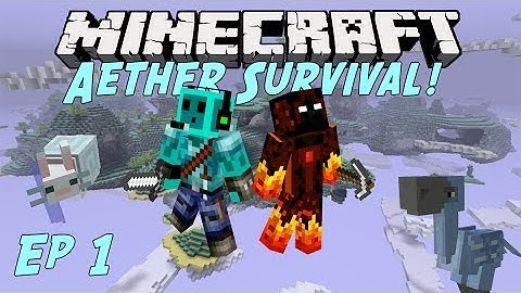 [Minecraft] Aether Survival Let