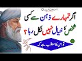 Agar Tamahare Zhan Se Kasi Shaqs Ka Khayal Nihen Nikal Raha | Maulana romi quotes