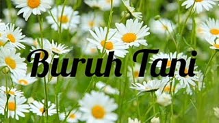LIRIK LAGU || BURUH TANI (PEMBEBASAN) -  (CINDI CINTYA DEWI) COVER
