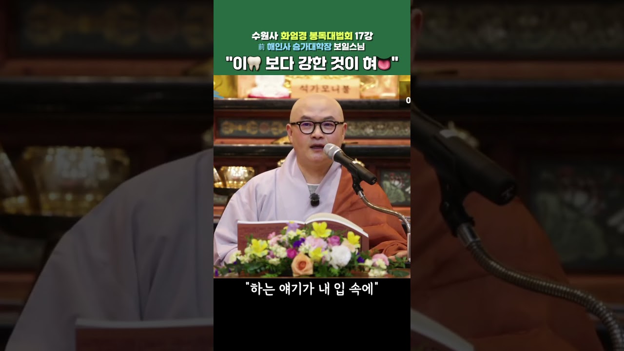 이🦷 보다 강한 것이 혀👅ㅣ보일스님(수원사 화엄경 봉독대법회) #수원사 #화엄경 #법회 #보일스님