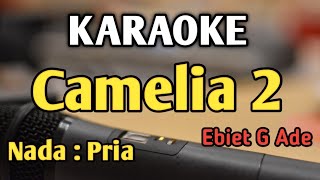 CAMELIA 2 - KARAOKE || NADA PRIA || Ebiet G Ade || Audio HQ || Live Keyboard