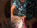 #fish #funny #comedy
