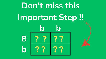 Punnett Squares the basics
