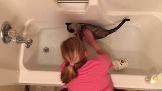 Moi Petite Paws first bath.