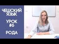 Чешский язык с нуля. Урок чешского языка №6.