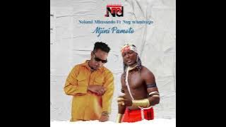 Nelemi mbasando ft ney wamitego Pamoto (official audio