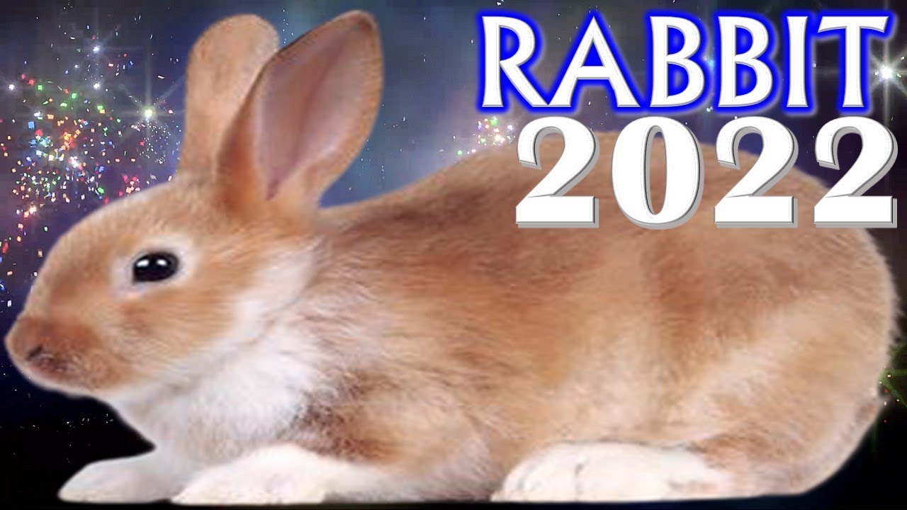 Rabbit Horoscope 2022 Born 2011, 1999, 1987, 1975, 1963, 1951, 1939
