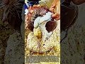 단단한 코코넛 내부에 위장하여 숨어 있던 거대 문어의 은신 습성 #nature  #Wild #Creature #Hidden #Discovery
