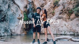 Life in Hawaii Ep.05|讲讲搬来夏威夷的困境与真相