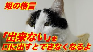 「出来ない」を口に出すと出来なくなるよ。くくる姫の人生が好転する言霊（コトダマ） by 369Cat Kukuru healing 896 views 2 years ago 2 minutes, 33 seconds