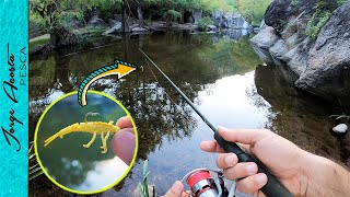 Pesca con INSECTO ARTIFICIAL - Mojarras en la Sierra