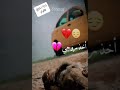 يريت الموت اخذ روحي ويريحني حالت واتساب مؤلمه Al1769 يريت الموت اخذ روحي ويريحني حالت واتساب مؤلمه Al1769
