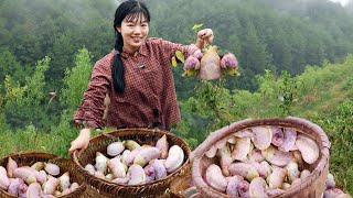 The fried fruit with strange taste is collected and sold in the city for free at 100kg. It is so po by 燕麦行游 25,601 views 3 weeks ago 11 minutes, 12 seconds