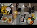 Days In My Life In Finland Living Alone Diaries My Last Date Cooking Life Of An Introvert 