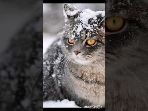 ️Крутие ави ️На новий год ️ - YouTube