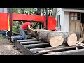 Sawing a Silver Maple with a Hole