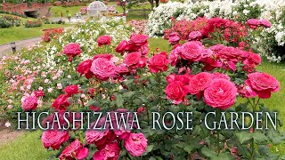 Higashizawa Rose Garden 2022 Spring. 東北でバラが見頃 #東沢バラ公園