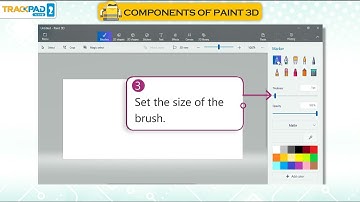 COMPONENTS OF PAINT 3D|Ch 06|Trackpad Pro v5l|Class 02