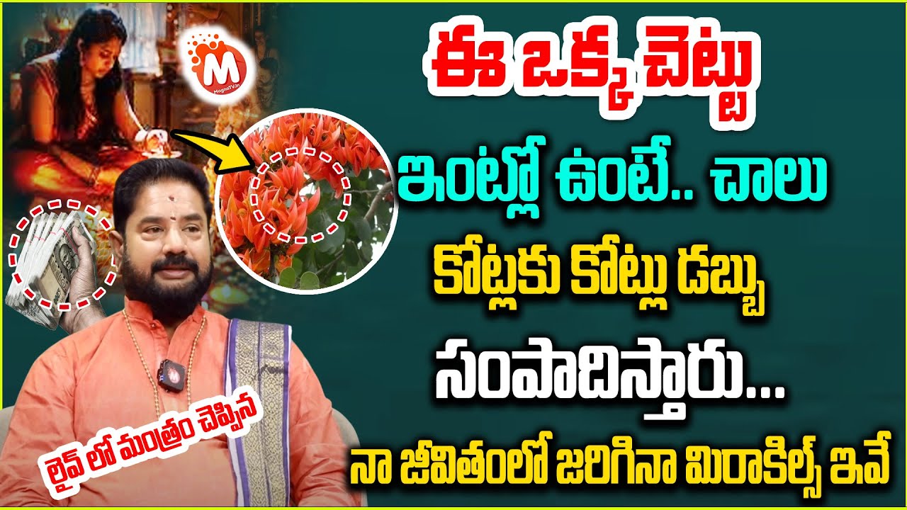ఈ ఒక్క చెట్టు ఇంట్లో ఉంటే.. చాలు  | Rajan Nambudri | modhuga chettu In Home | @magnabhakthi