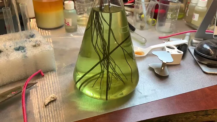 Recover gold and PM with the copper