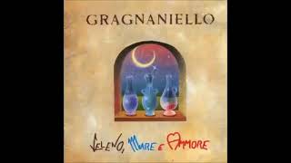 Enzo Gragnaniello - Senza voce