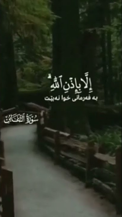 ٢٣ أغسطس، ٢٠٢٢