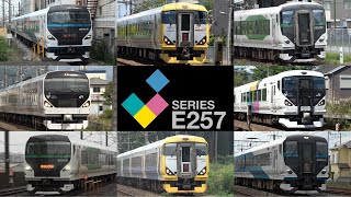 【豊富なバリエーション！】JR東日本E257系高速通過集 Resimi