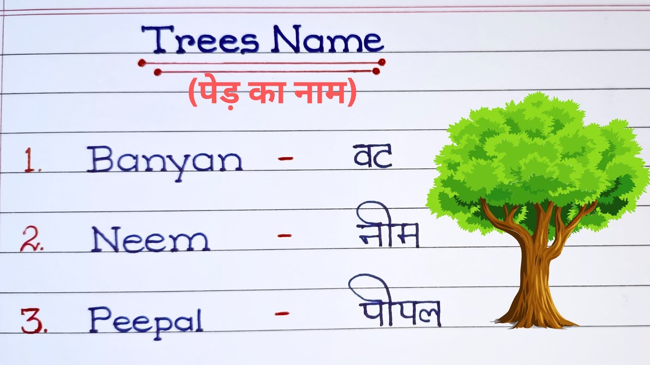 10 Trees Name In English And Hindi Trees Name YouTube 10-trees-name-in-english-and-hindi-trees-name-youtube
