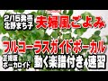 北野まち子 夫婦風ごよみ0 ガイドボーカル正規版(動く楽譜付き)