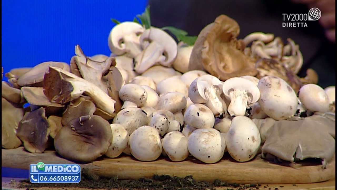 Il mio medico - Funghi le proprietà benefiche