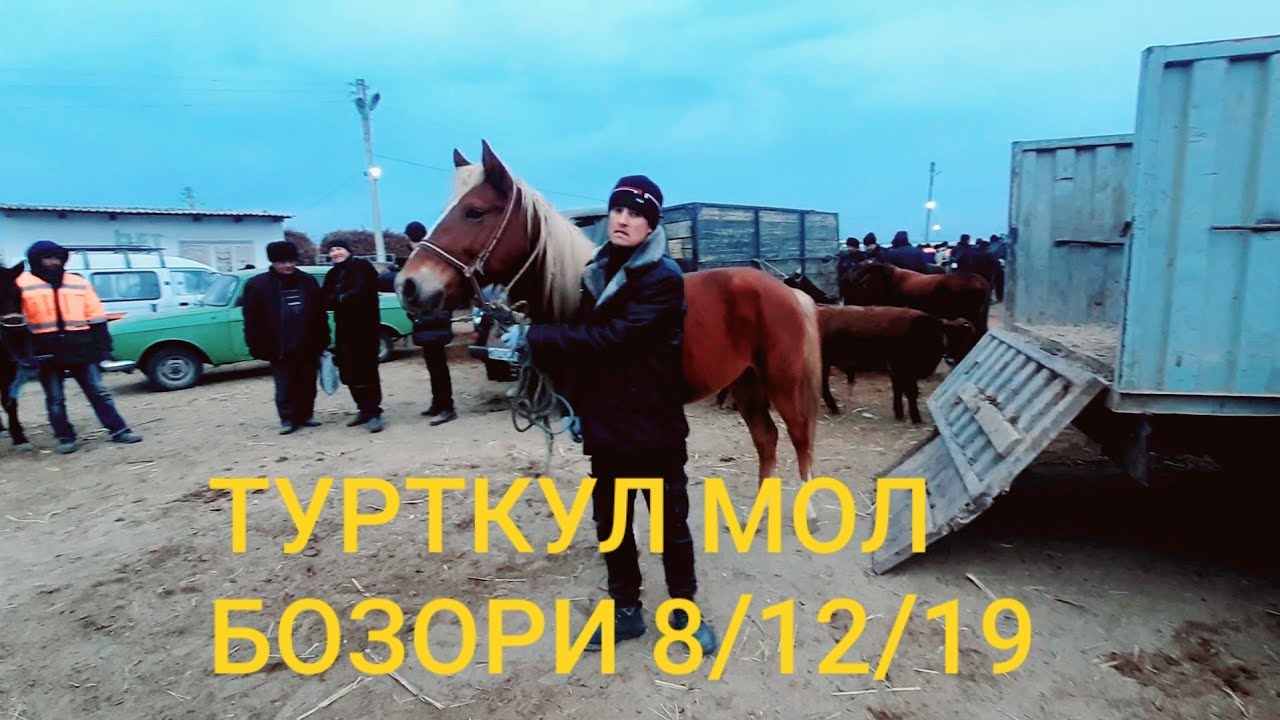Турткул машина бозори