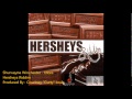 Shurwayne Winchester More Hersheys Riddim March 2012 mp3