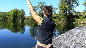 3.21 Introducing "Poitruvian Arms"