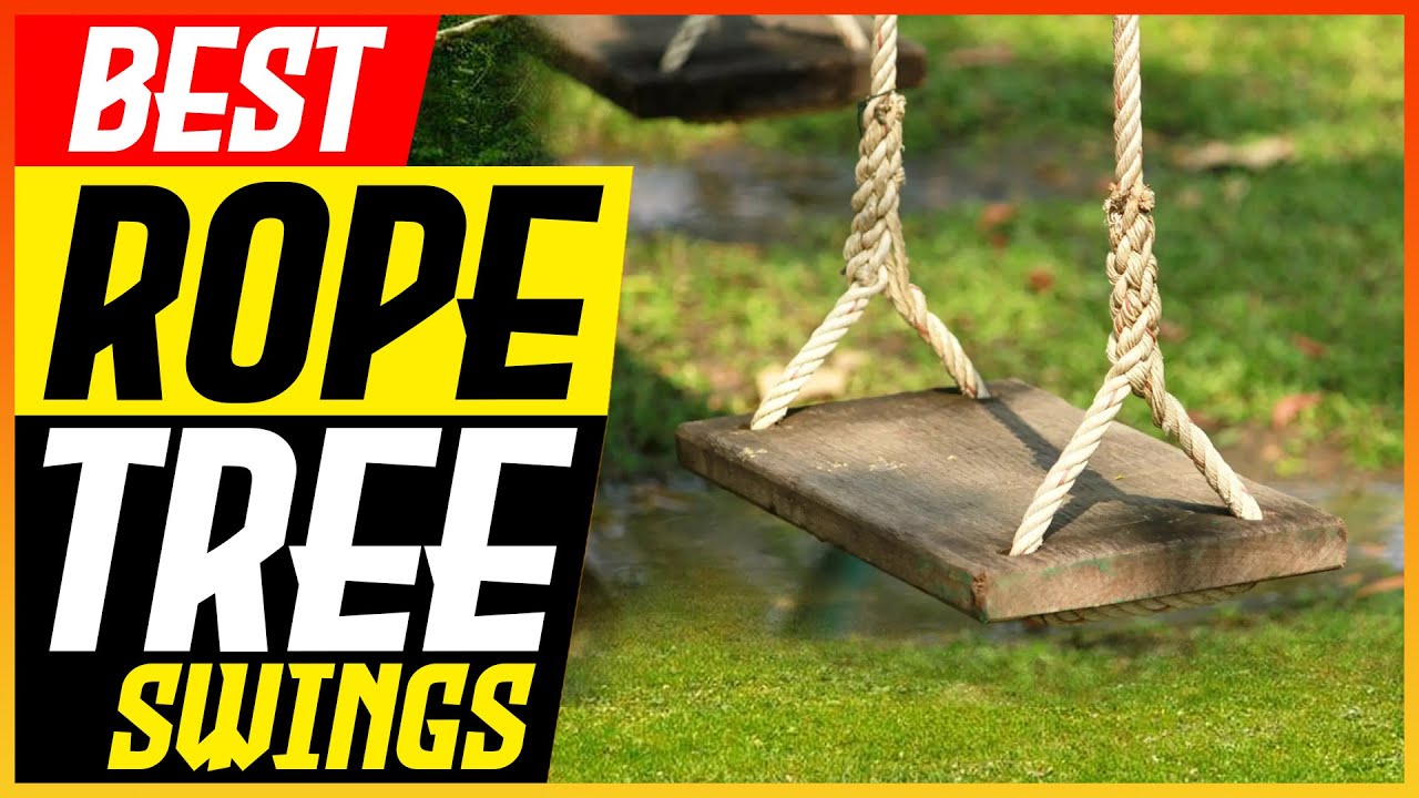 The 5 Best Ropes for Tree Swings (2023) 