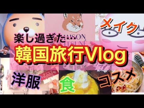 爆笑 韓国２泊３日の女子旅vlog メイク コスメ ファッション 料理 観光 Youtube