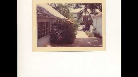 Semantic Noise - Hummm