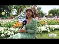 🌸🌸🌸#Tashkent_Flower_fest_2022