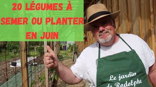 "Les 20 légumes incontournables pour votre potager en juin"