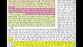 דף יומי מסכת ביצה דף יט Daf yomi Beitzah daf 19 Shmuel Navon