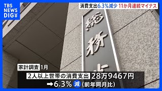 今年1月の消費支出は6.3%↓　11か月連続でマイナス　物価高の影響か｜TBS NEWS DIG